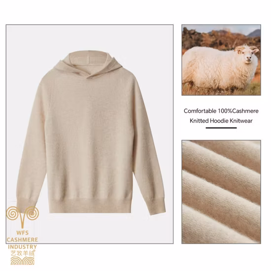 Fabriqué en usine sur mesure femmes coton plaine Sexy Slim Fit Jogging survêtement Sport décontracté sweat à capuche Sweatershirt